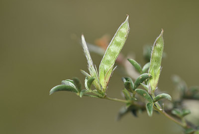 BUITEN BEELD Foto: 412312