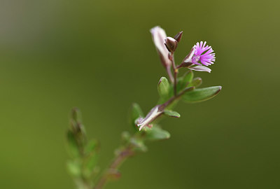 BUITEN BEELD Foto: 412332