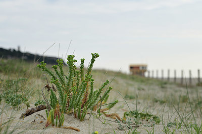 BUITEN BEELD Foto: 412341