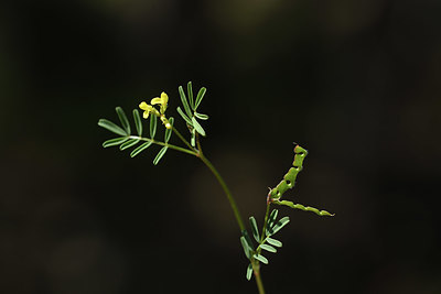 BUITEN BEELD Foto: 412368