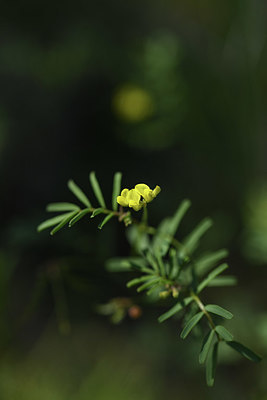 BUITEN BEELD Foto: 412394