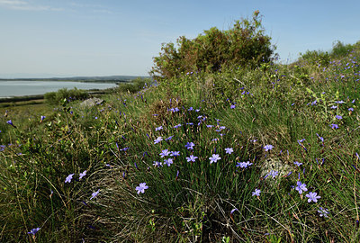 BUITEN BEELD Foto: 412415