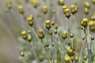 BUITEN BEELD Foto: 412451