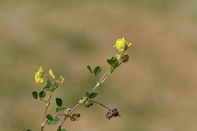 BUITEN BEELD Foto: 412458