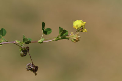BUITEN BEELD Foto: 412459