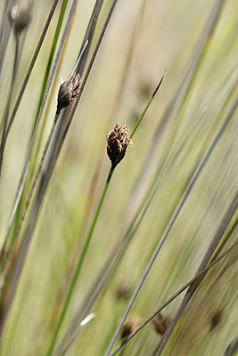 BUITEN BEELD Foto: 412470