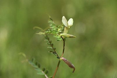 BUITEN BEELD Foto: 412477