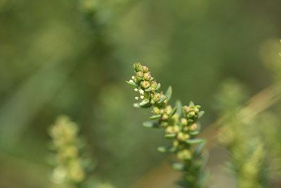 BUITEN BEELD Foto: 412498