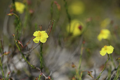 BUITEN BEELD Foto: 412501