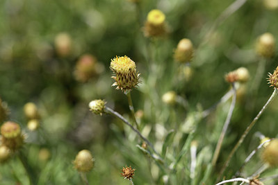 BUITEN BEELD Foto: 412530