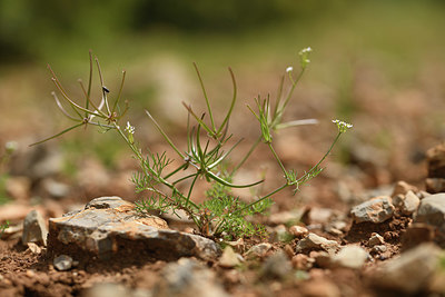 BUITEN BEELD Foto: 412538