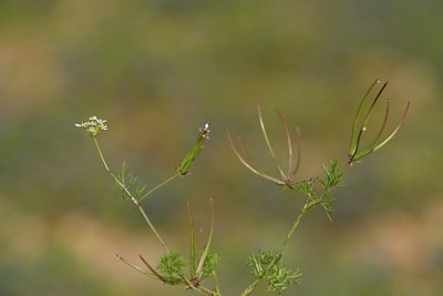 BUITEN BEELD Foto: 412560