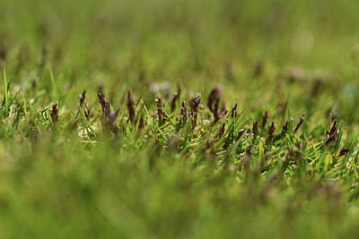 BUITEN BEELD Foto: 412564