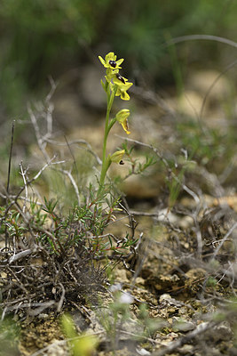 BUITEN BEELD Foto: 412565