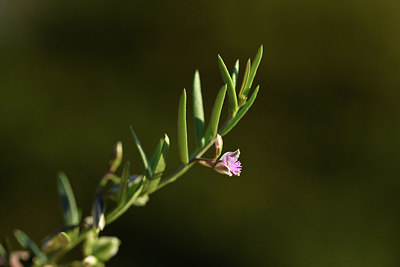 BUITEN BEELD Foto: 412567