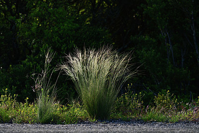 BUITEN BEELD Foto: 412583