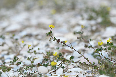 BUITEN BEELD Foto: 412587