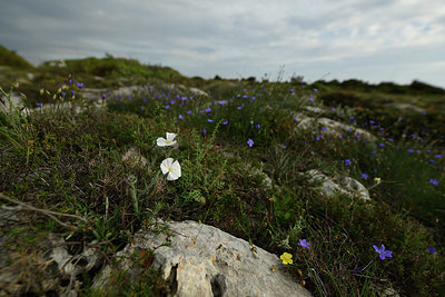 BUITEN BEELD Foto: 412597