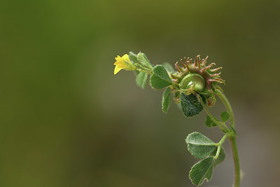 BUITEN BEELD Foto: 412602