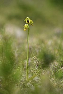 BUITEN BEELD Foto: 412604