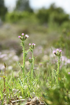 BUITEN BEELD Foto: 412615