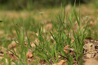 BUITEN BEELD Foto: 412630