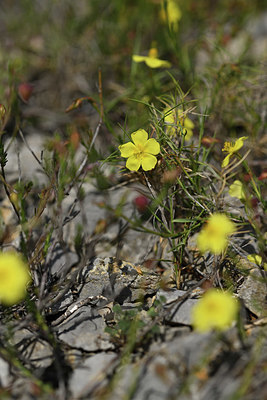 BUITEN BEELD Foto: 412642