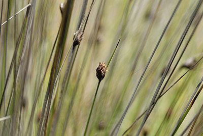 BUITEN BEELD Foto: 412661