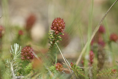 BUITEN BEELD Foto: 412670