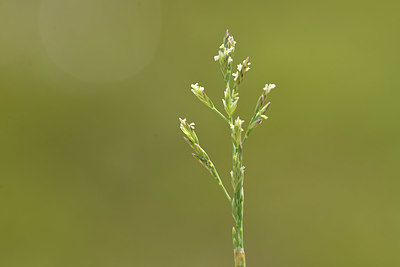 BUITEN BEELD Foto: 412679