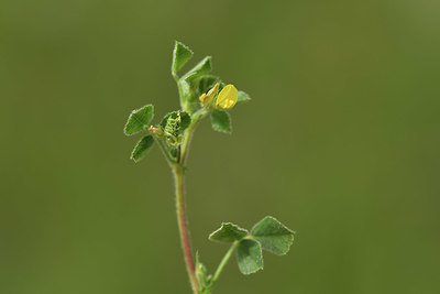 BUITEN BEELD Foto: 412683