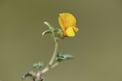 BUITEN BEELD Foto: 412684