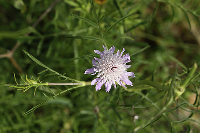 BUITEN BEELD Foto: 412711