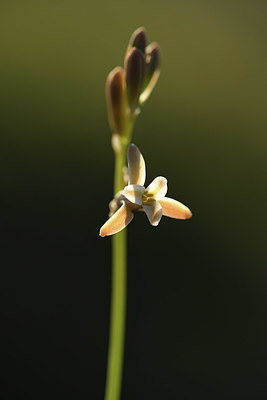 BUITEN BEELD Foto: 412714