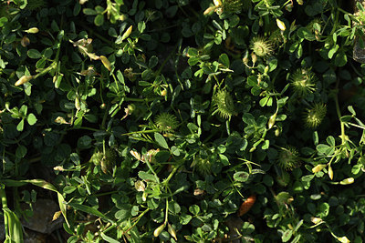 BUITEN BEELD Foto: 412717