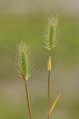 BUITEN BEELD Foto: 412720