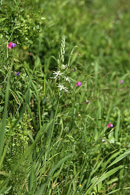 BUITEN BEELD Foto: 412735