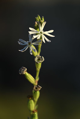 BUITEN BEELD Foto: 412736