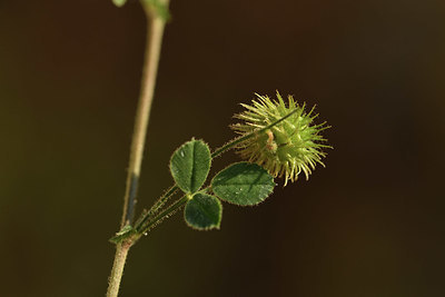 BUITEN BEELD Foto: 412754