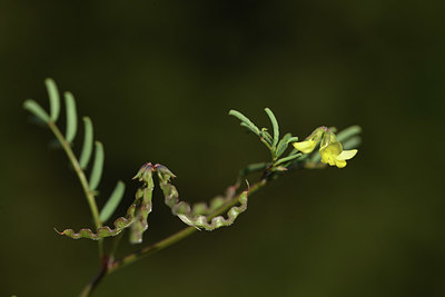 BUITEN BEELD Foto: 412755