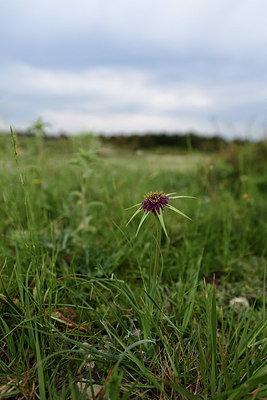 BUITEN BEELD Foto: 412764