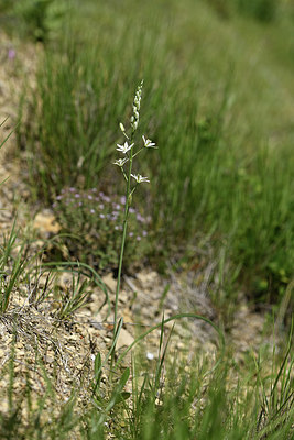 BUITEN BEELD Foto: 412773