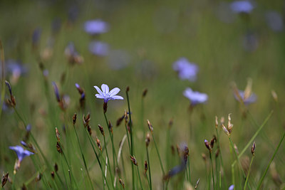 BUITEN BEELD Foto: 412783