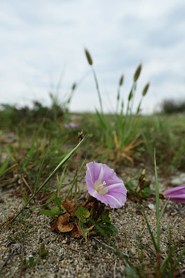 BUITEN BEELD Foto: 412814