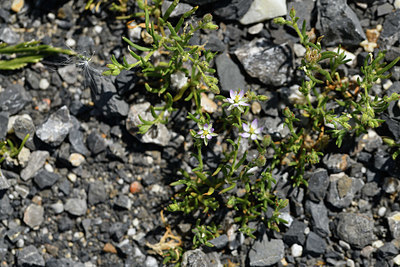 BUITEN BEELD Foto: 412823