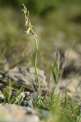 BUITEN BEELD Foto: 412841