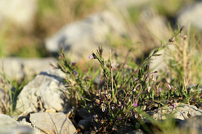 BUITEN BEELD Foto: 412860