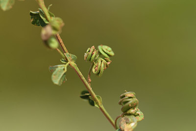 BUITEN BEELD Foto: 412869