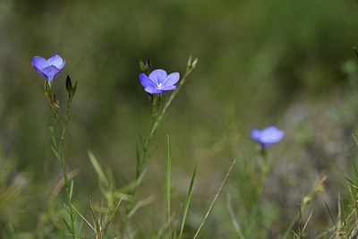 BUITEN BEELD Foto: 412872