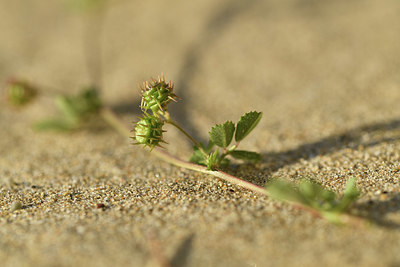 BUITEN BEELD Foto: 412883